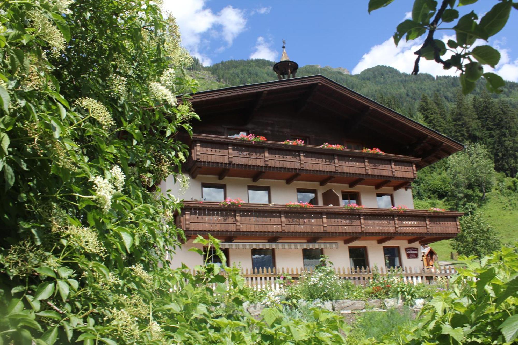 Bauernhof Grussberggut Vila Bad Hofgastein Exterior foto