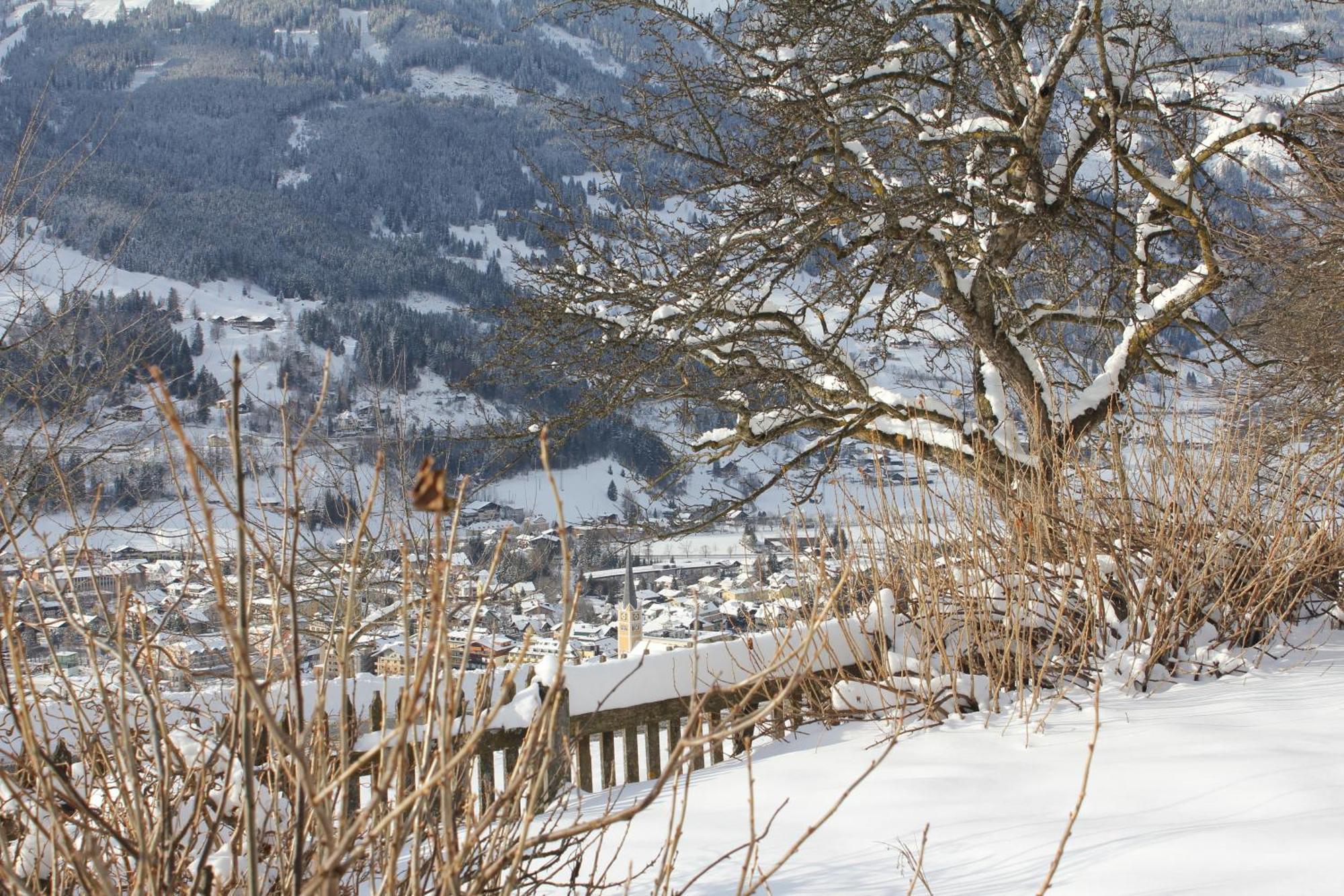 Bauernhof Grussberggut Vila Bad Hofgastein Exterior foto